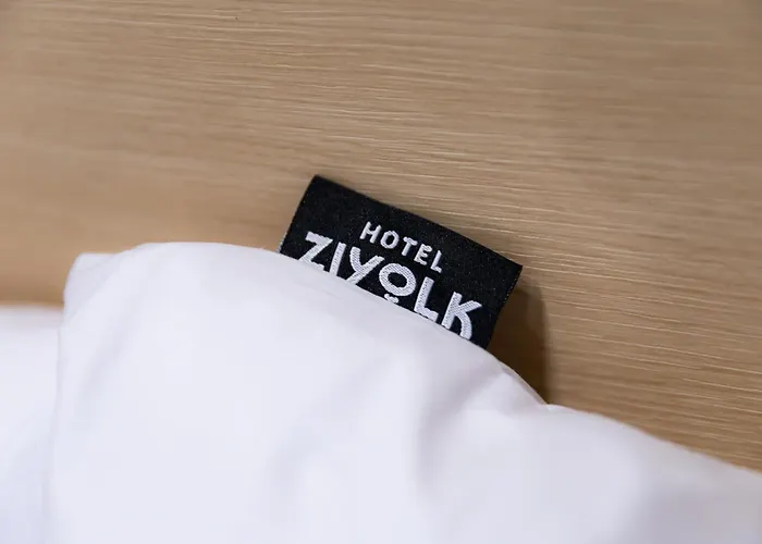 Ziyolk Myeongdong Apartahotel Seúl